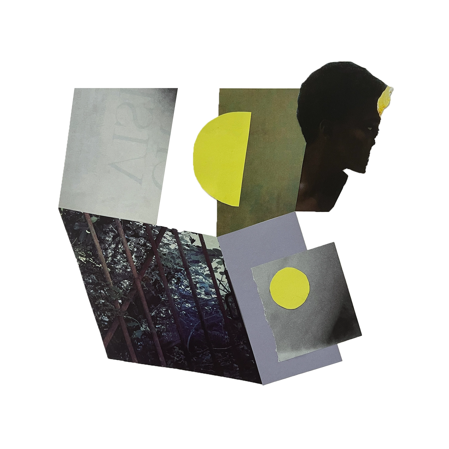 Abstract collage of earthy colors and torn image of woman.