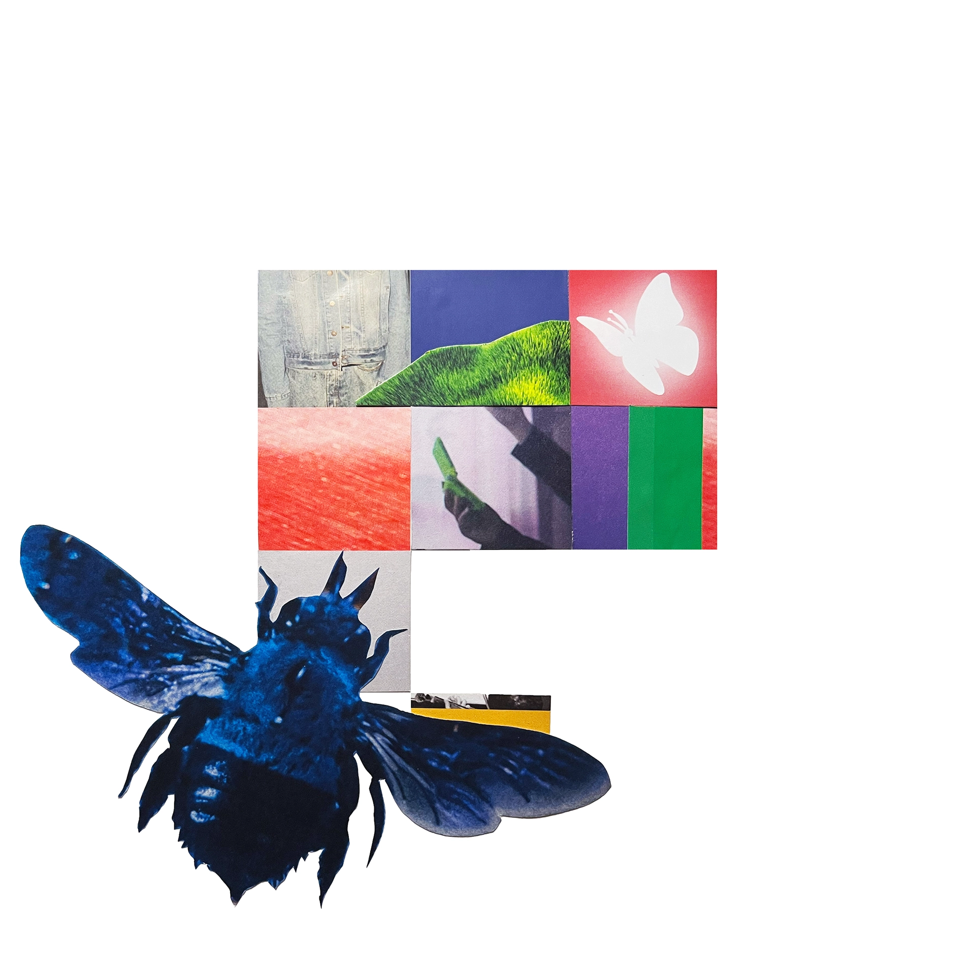 Abstract collage showing bright colored images in a grid. In front of the grid is a large blue bee.