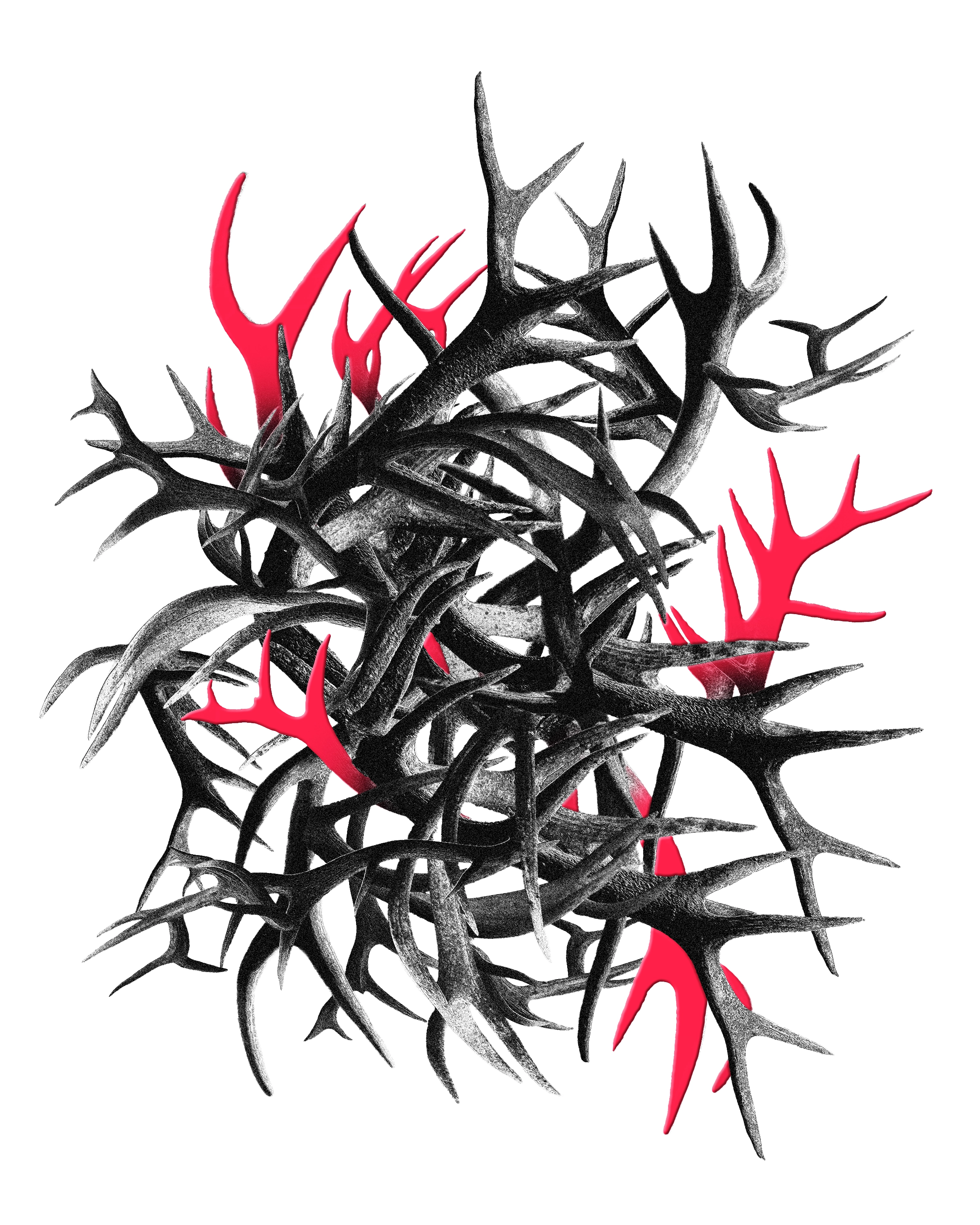 Collage of black deer antlers on white background with red accents