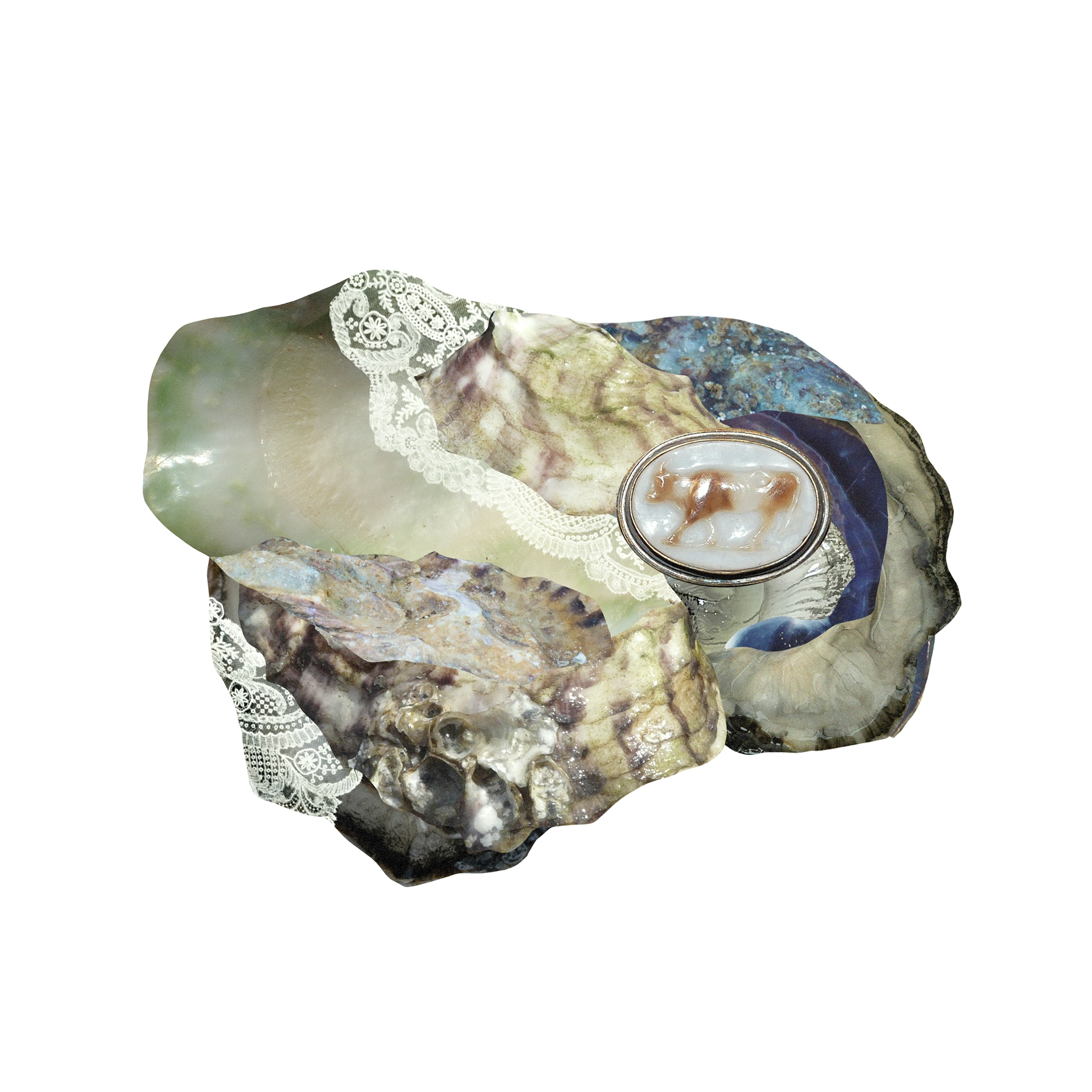 Abstract digital collage of close-up images of oysters and lace, featuring a cow cameo.